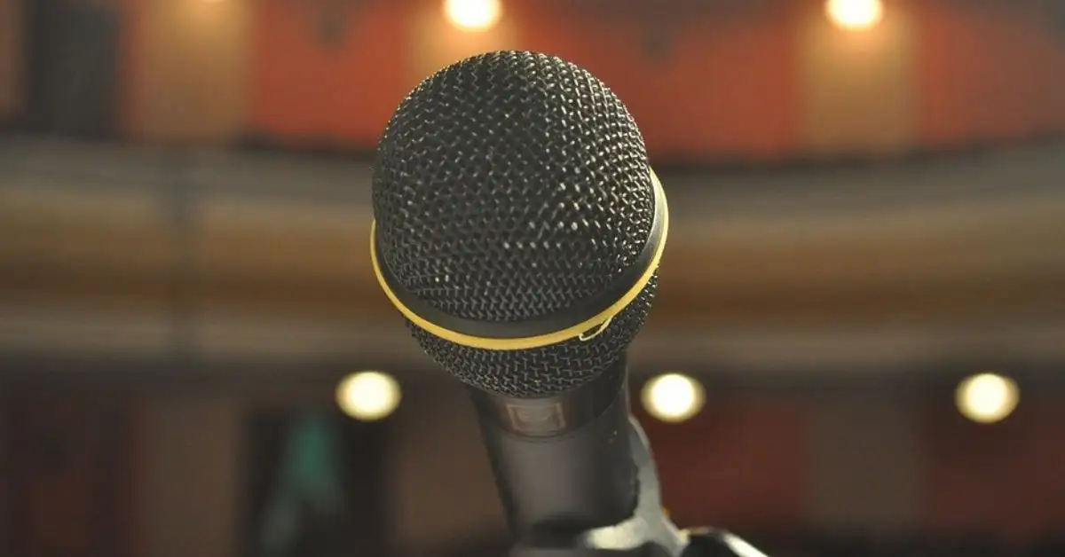 7 Best Microphones For Performing Live